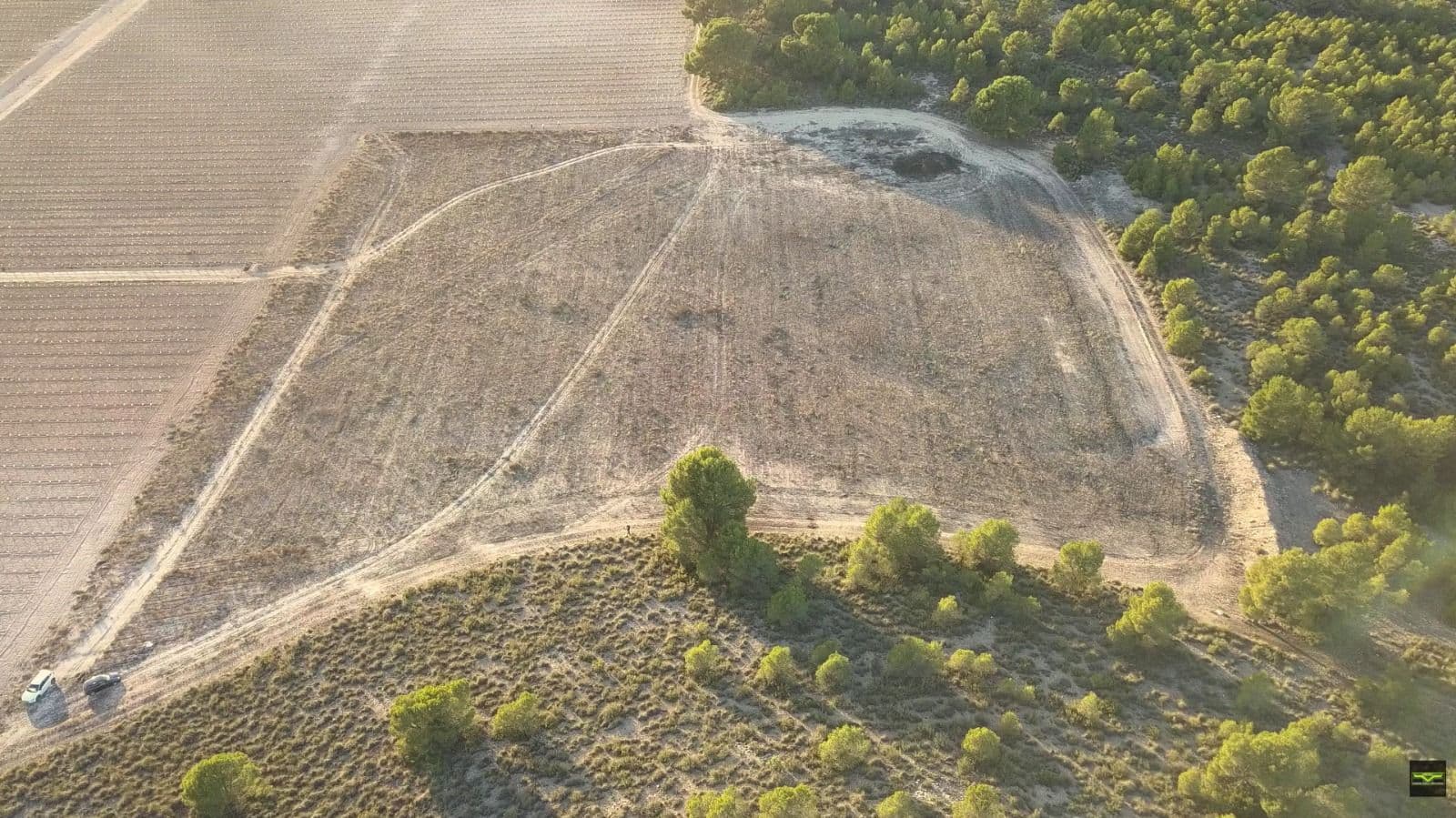 La parcela ya desbrozada, con la traza de la balsa marcada sobre el terreno, la viña de la finca de al lado a la izquierda y el pinar a la derecha