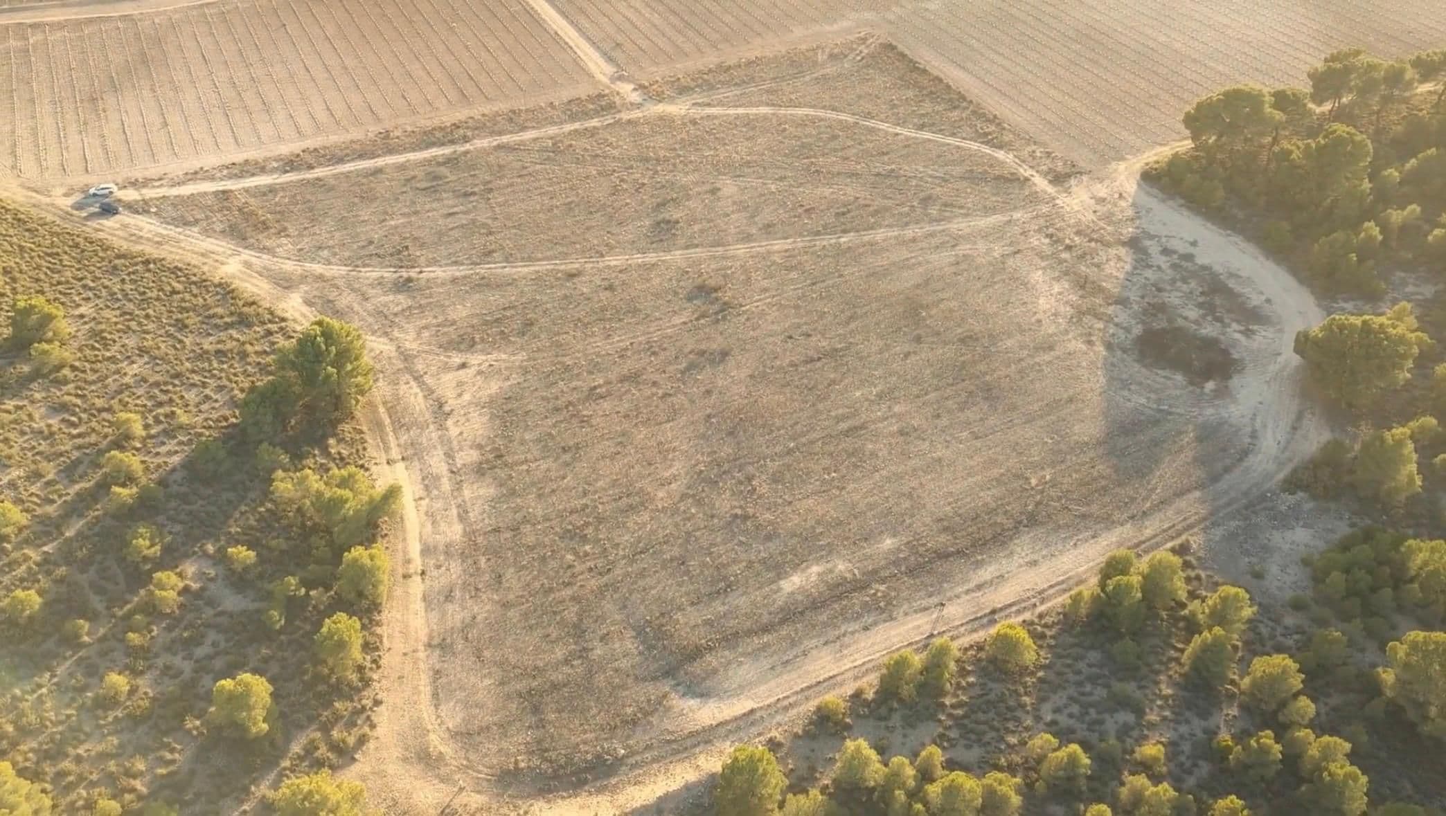 Plano amplio de la parcela limpia, rodeada de pinar, con el camino de acceso bordeándola y un vehículo al borde